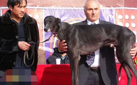 最可怕的 Most Awesome