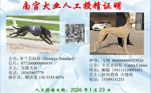 布莱克标准X飞翔 900000009293926.jpg