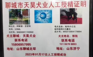 阿斯顿吉甘特X哈利小公主 900215004179694.jpg