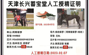 阿斯顿李X纯的保罗 941000225080952.jpg