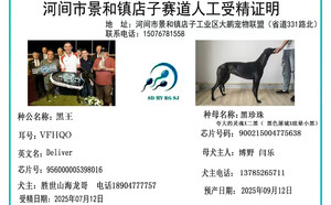 黑王X黑珍珠 900215004775638.jpg