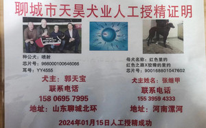 喷射X红色里约 900158801047602.jpg