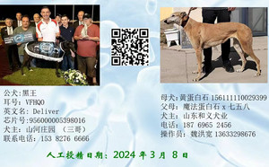 黑王X黄蛋白石 DBVL8，156111110029399.jpg