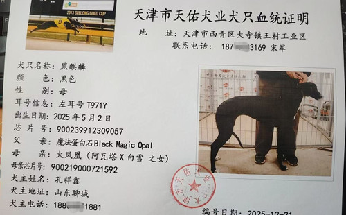 黑麒麟 900239912309057，T971Y