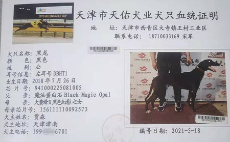 黑龙 DBHT1，941000225081005