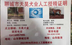 阿斯顿吉甘特X疾风 NGQX 714A，156111110086642.jpg