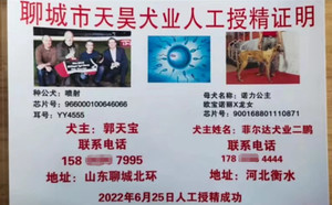 喷射X诺力公主 900168801110871.jpg