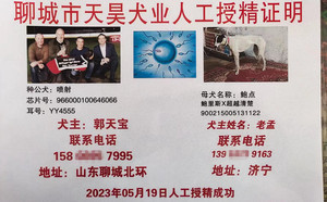 喷射X济宁老孟的鲍点900215005131122（2023年5月19日配）.jpg