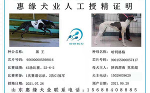 黑王X哈利格格 900155000057417，H1710.jpg