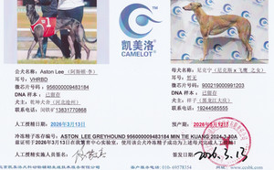 阿斯顿李X尼克宁 900219000991203，NGXH323AB9.jpg