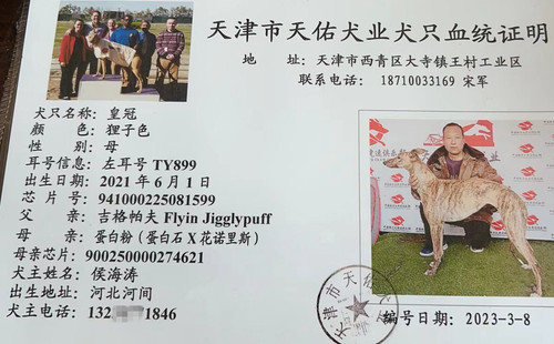 皇冠 941000225081599，TY899