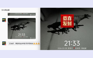 金字塔X黑茶 988000001880102.jpg