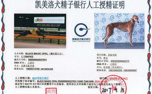 魔法蛋白石X菲特 Anywhere Anytime，956000008462570.jpg