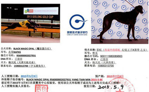 魔法蛋白石X彩虹 900111880089663.jpg