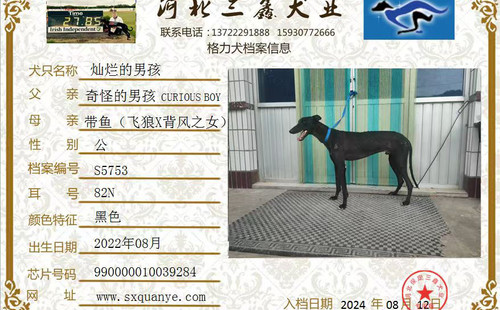 灿烂的男孩 990000010039284