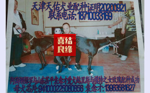 阿斯顿保罗X玫瑰 900215005135449，941000225080856.jpg
