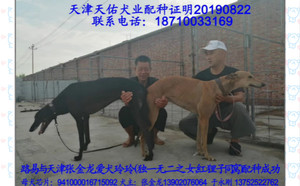 路易X玲玲 941000016715092.jpg