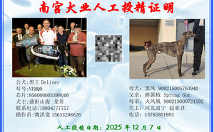 黑王X黑凤 900215005763940，J312C.jpg