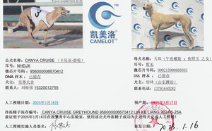 卡尼亚游轮X天珠 900215009666663.jpg