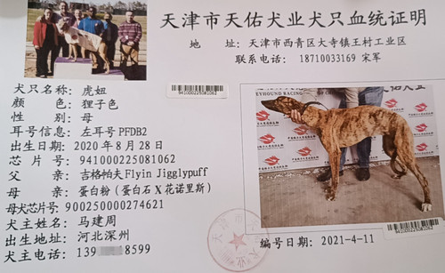 虎妞 PFDB2，941000225081062
