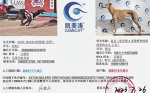 阿斯顿保罗X迈克 156111110072468.jpg