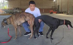 弹簧箭X赶浪少女 DBZL5，515000187032476.jpg