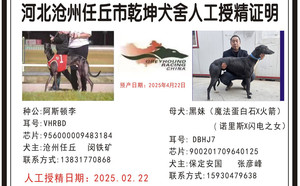 阿斯顿李X黑妹 DBHJ7，900201709640125.jpg