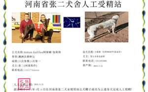 阿斯顿加利利X小狐狸 900023069813611.jpg