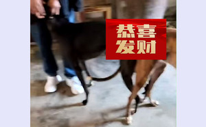 尼克斯王子X飓风黑妞900263003417699.jpg