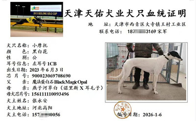 小摩托 900023069708690，1CB