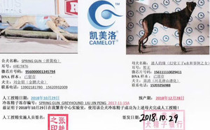 弹簧枪X迷人的缘 156111110029411.jpg