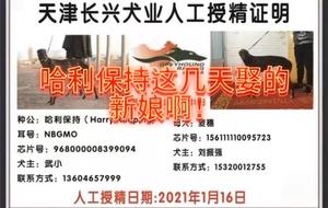 哈利保持X麦穗儿 156111110095723.jpg