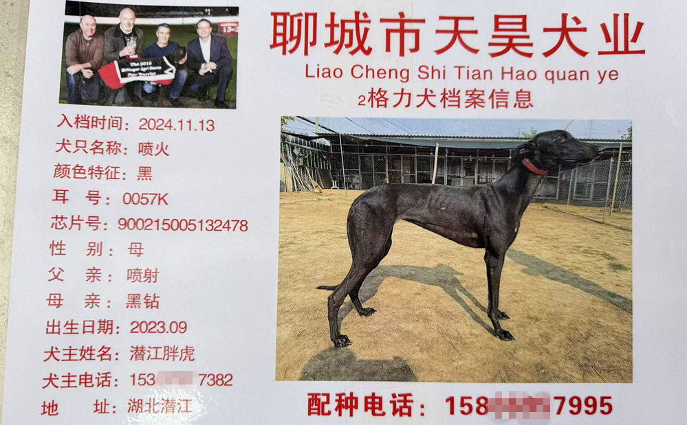 喷火900215005132478.jpg