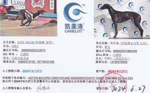 阿斯顿保罗X黑玫瑰988000001880356.jpg