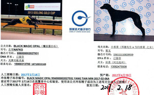 魔法蛋白石X小香菜156111110029559.jpg