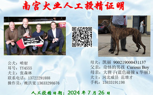 喷射X凯丽 900219000431137，60N.jpg