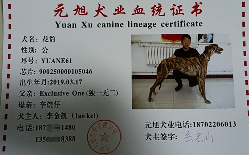 花豹 900250000105046，YUANE61