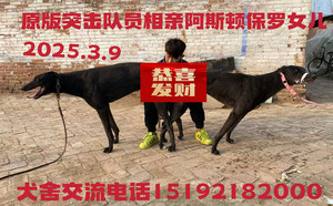 突击队员X大保罗 900023069145930.jpg