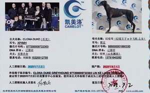 杜克X幻觉母 988000001880330.jpg