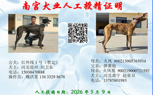 追踪者X火凤 900215005763934，J312B.jpg