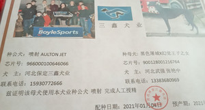 喷射X二黑 900128001216764.jpg