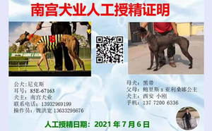 尼克斯X黑带 156111110096135.jpg