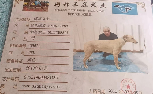 螺旋女士 900219000431094