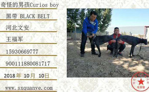 奇怪的男孩X黑带 Black Belt，900111880081717，DTFS 78B.jpg