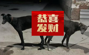 ABUIABACGAAg2eWjzQYorPSKhgQw-gY4qgQ.jpg