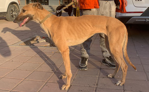 元宝900168021051114.jpg