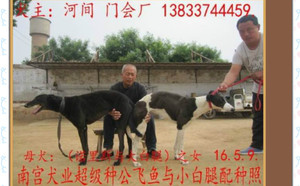 飞鱼X小白腿 900111880089792.jpg