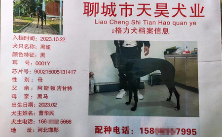 黑妞 900215005131417，0001Y