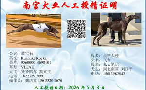 蓝宝石X星空天使 900115000680357，NGXH517A.jpg