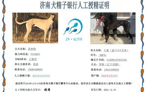 美洲豹X大麦 DBFA1，515000187032492.jpg